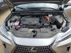 2023 Lexus Nx 350H   for Sale in Brighton, CO - Hail