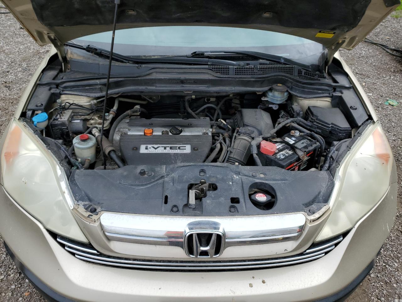 2007 Honda Cr-V Exl VIN: 5J6RE48787L810657 Lot: 54121055