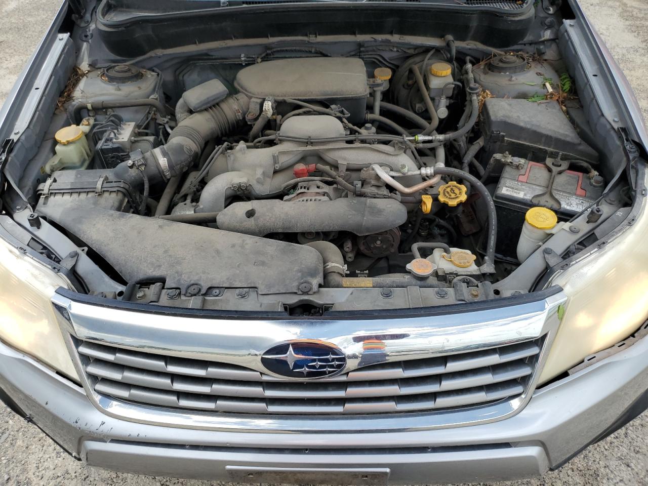 2009 Subaru Forester 2.5X Premium VIN: JF2SH63629G784773 Lot: 57362515