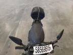 2021 Genuine Scooter Co. Roughhouse 50 for Sale in Avon, MN - Vandalism