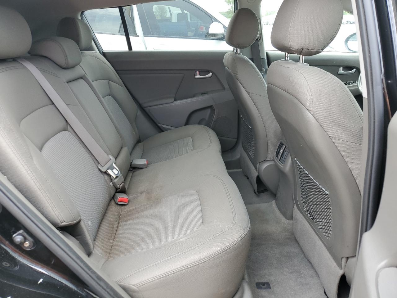 2014 Kia Sportage Base VIN: KNDPB3AC2E7569546 Lot: 55877345
