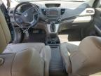Reno, NV에서 판매 중인 2013 Honda Cr-V Exl - Front End