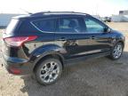 2013 FORD ESCAPE SEL à vendre chez Copart AB - EDMONTON