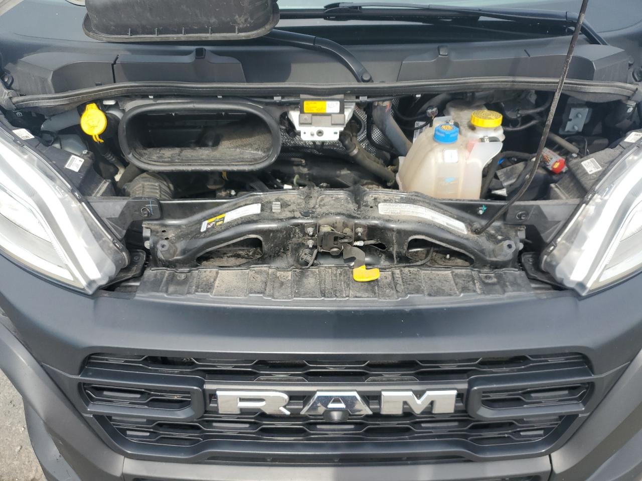 2023 Ram Promaster 2500 2500 High VIN: 3C6LRVDGXPE504717 Lot: 57432045