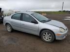 2002 Chrysler Neon Le na sprzedaż w Rocky View County, AB - Front End