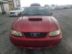 2003 Ford Mustang Gt zu verkaufen in Earlington, KY - Hail