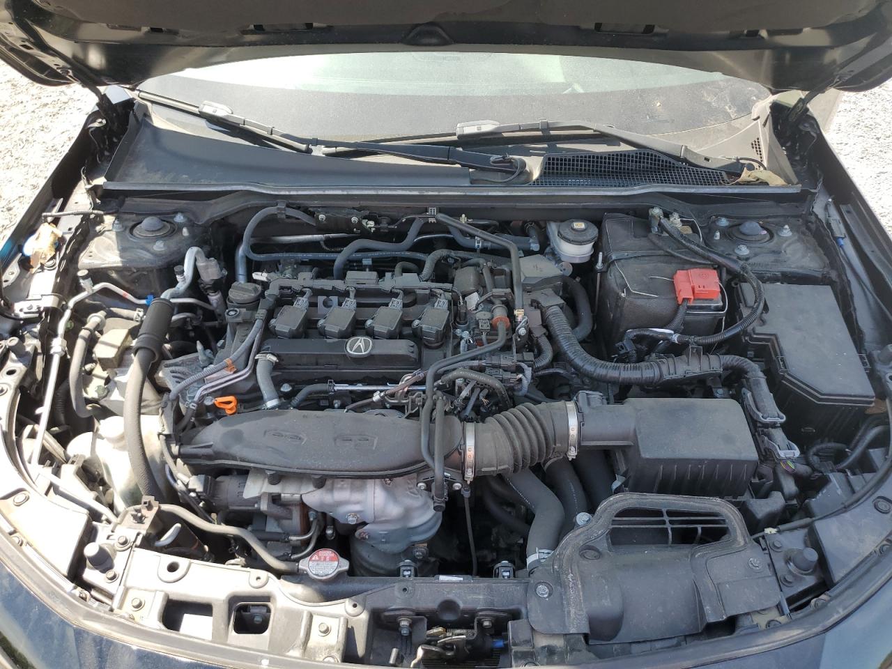 2023 Acura Integra A-Spec VIN: 19UDE4H33PA005594 Lot: 56233905