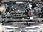 2011 Ford Escape Xls zu verkaufen in Columbia, MO - Front End