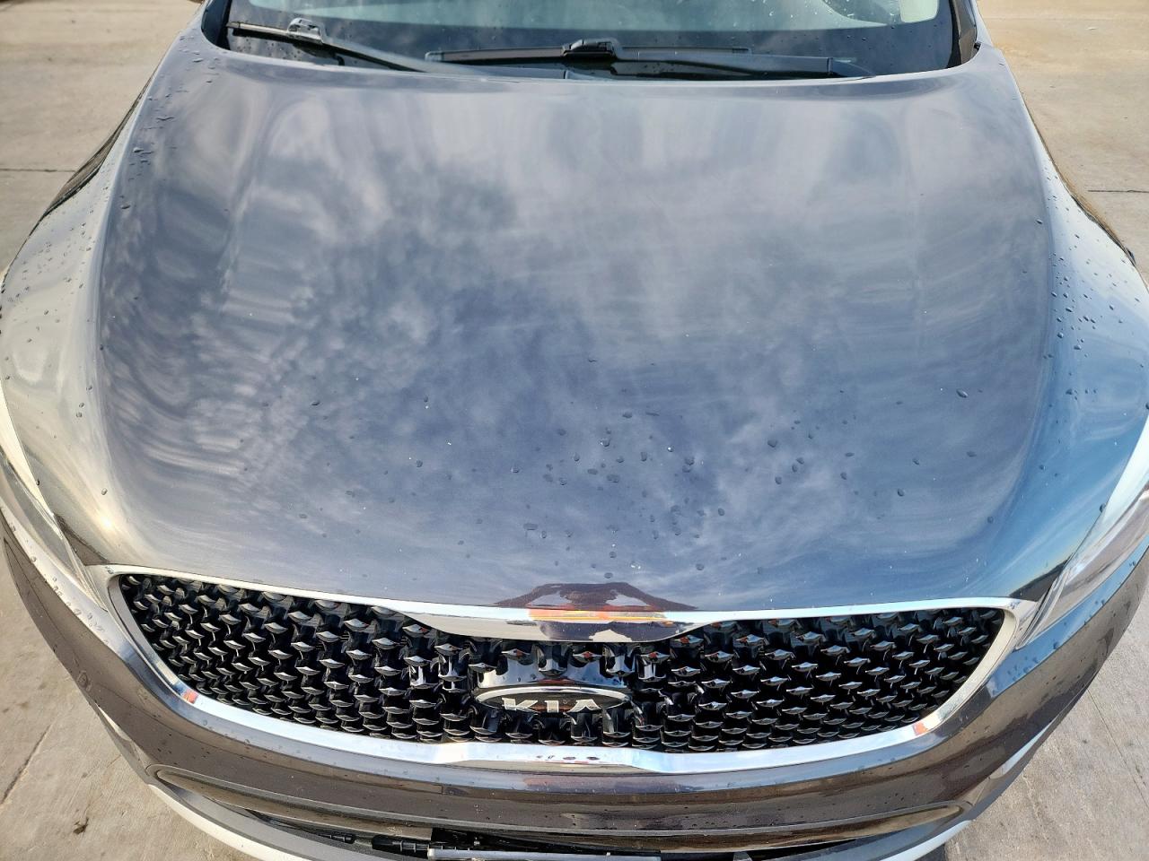 2017 Kia Sorento Ex VIN: 5XYPH4A58HG316664 Lot: 58795395