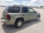 2003 Chevrolet Trailblazer  for Sale in Earlington, KY - Hail