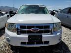 2008 Ford Escape Xlt for Sale in Magna, UT - Side