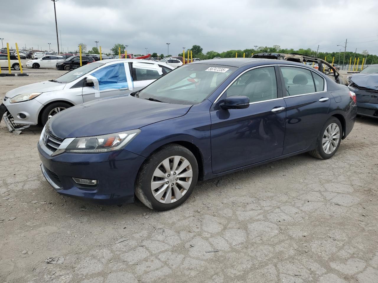 2013 Honda Accord Exl للبيع في Indianapolis، IN - Side