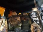 2008 Honda Odyssey Lx en Venta en Ham Lake, MN - Burn