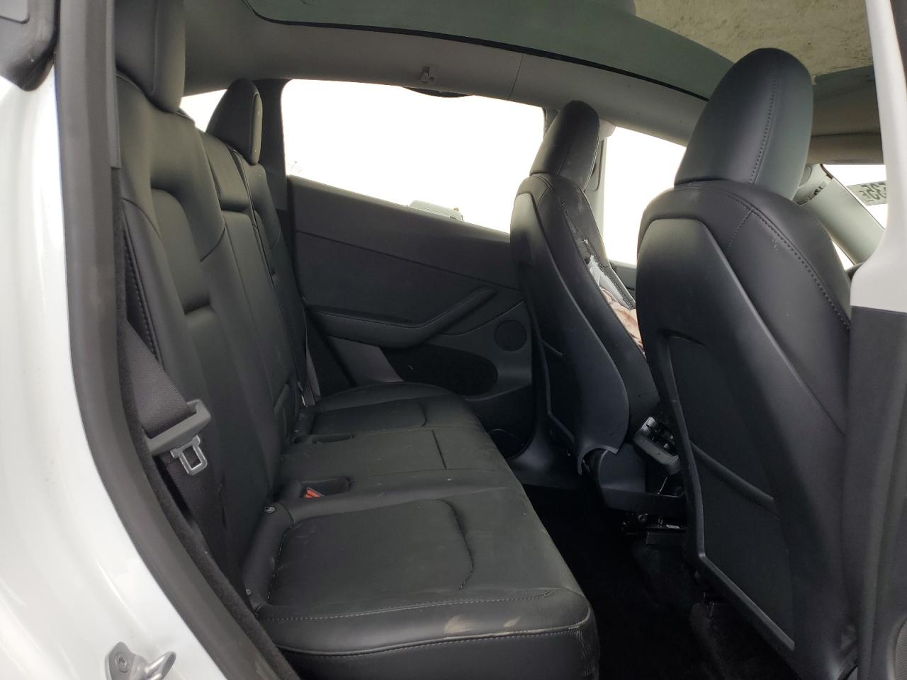 2023 Tesla Model Y VIN: 7SAYGDEFXPF868931 Lot: 59297535