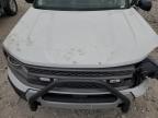 2025 Ford Bronco Sport Big Bend   for Sale in Wayland, MI - Front End