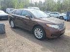 2010 Toyota Venza  for Sale in Cookstown, ON - Front End