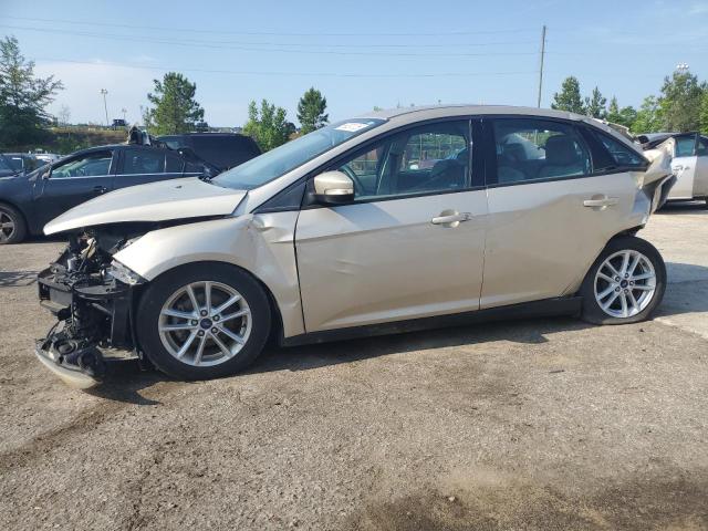  FORD FOCUS 2017 tan