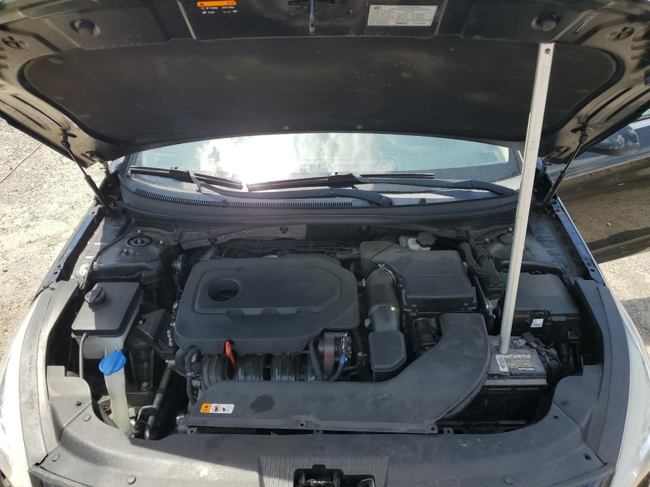 2017 Hyundai Sonata Se VIN: 5NPE24AF8HH549843 Lot: 56626405