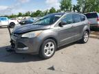 2014 Ford Escape Se   for Sale in Bridgeton, MO - Front End