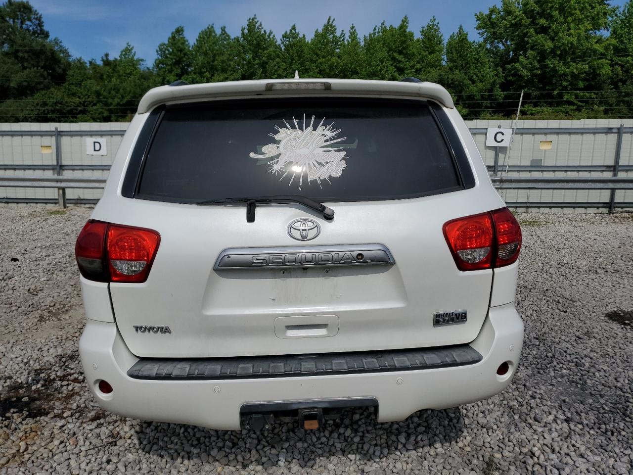 2010 Toyota Sequoia Platinum VIN: 5TDYY5G19AS030877 Lot: 58075985