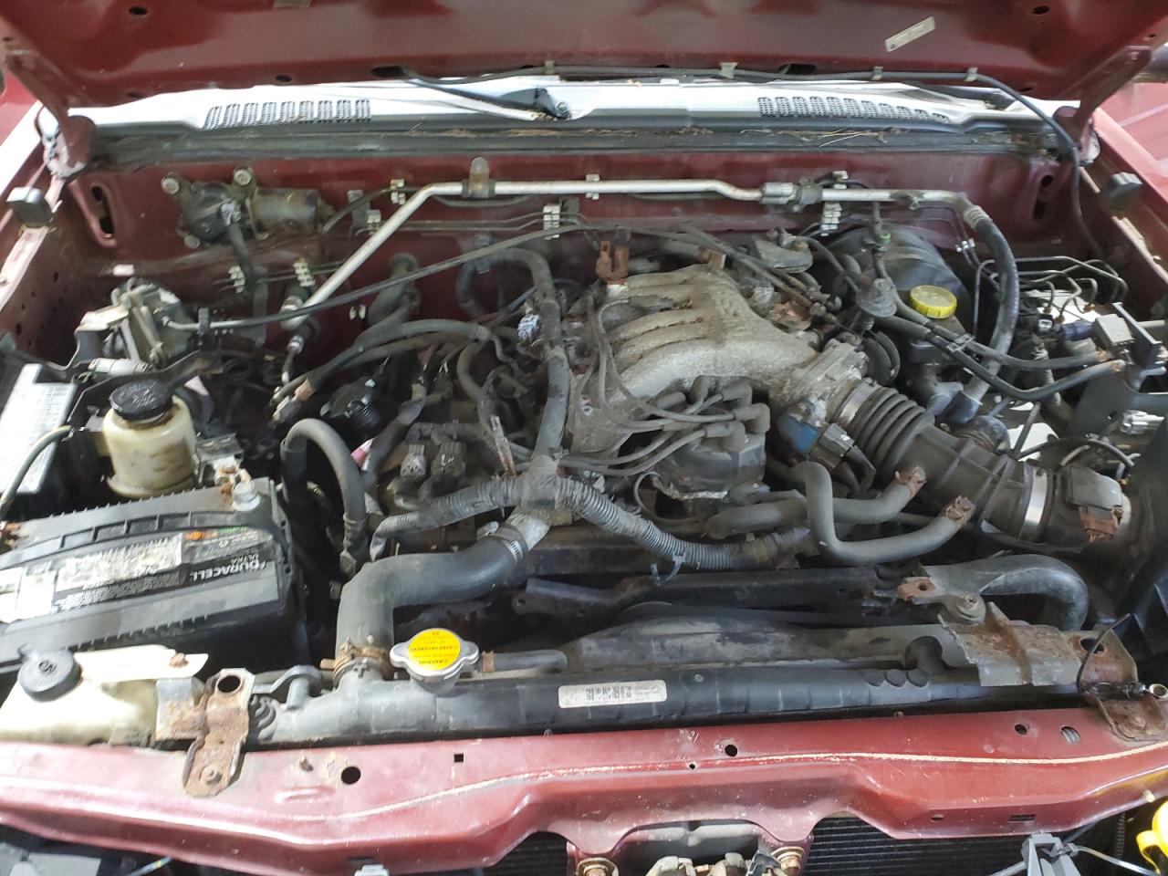 2004 Nissan Xterra Xe VIN: 5N1ED28Y74C631084 Lot: 57808745