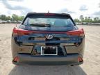 2024 Lexus Ux 250H Base   zu verkaufen in Houston, TX - Front End