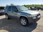 2006 Ford Escape Xlt for Sale in Marlboro, NY - Minor Dent/Scratches