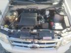 2009 Ford Escape Xlt na sprzedaż w Memphis, TN - Normal Wear