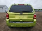 2011 Ford Escape Xlt   for Sale in Columbia Station, OH - Front End