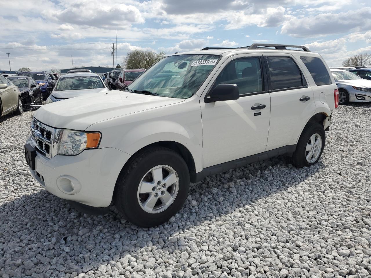 2010 Ford Escape Xlt for Sale in Greenwood, NE - Rear End