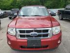 2012 Ford Escape Xlt zu verkaufen in Glassboro, NJ - Rear End