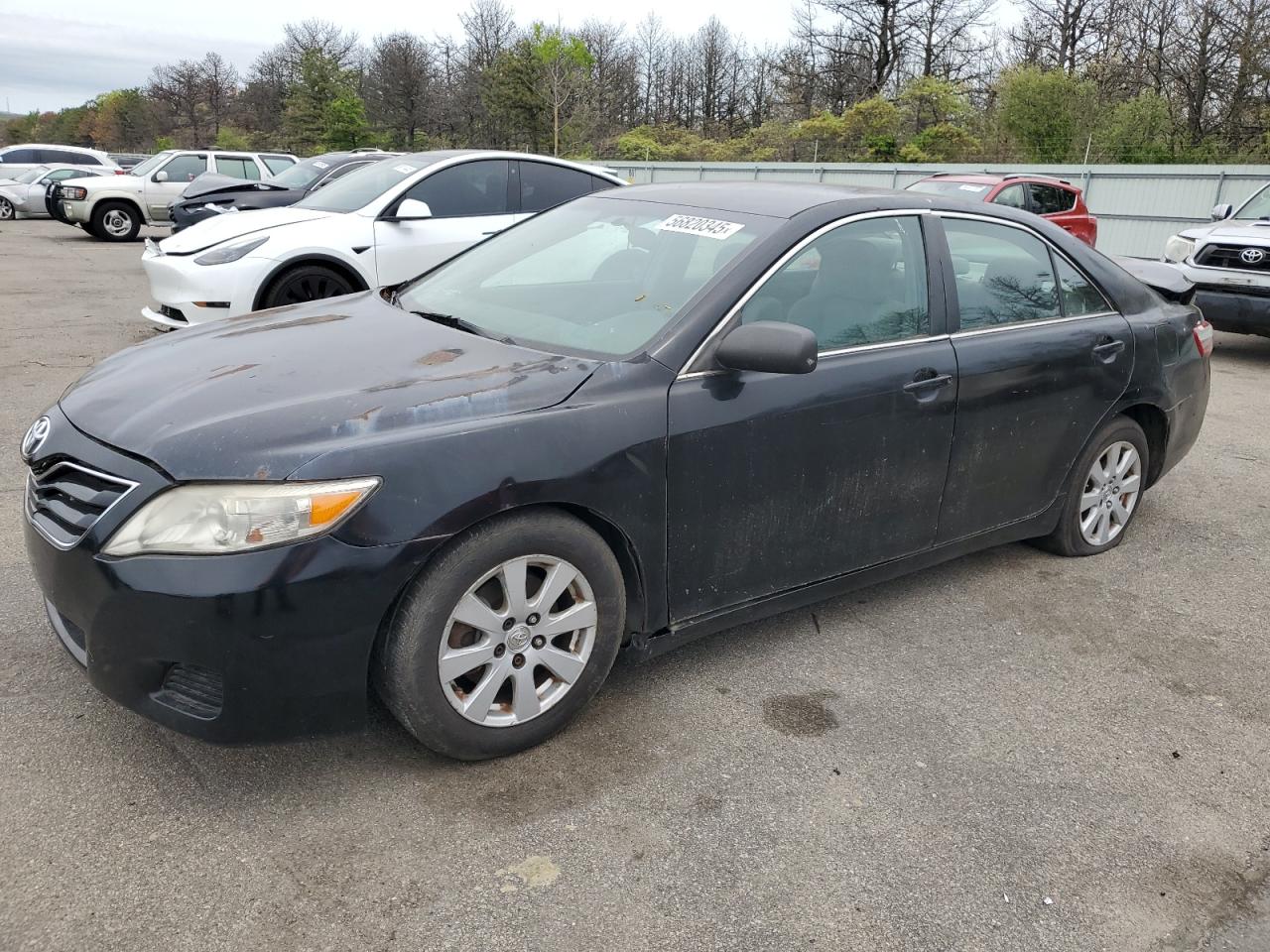 2011 Toyota Camry Base на продаже в Brookhaven, NY - Minor Dent/Scratches