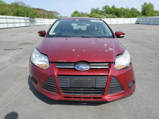  FORD FOCUS 2014 Maroon