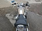 2004 Harley-Davidson Flstci  for Sale in Woodhaven, MI - Rear End