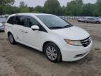 2014 Honda Odyssey Exl for Sale in Seaford, DE - Water/Flood