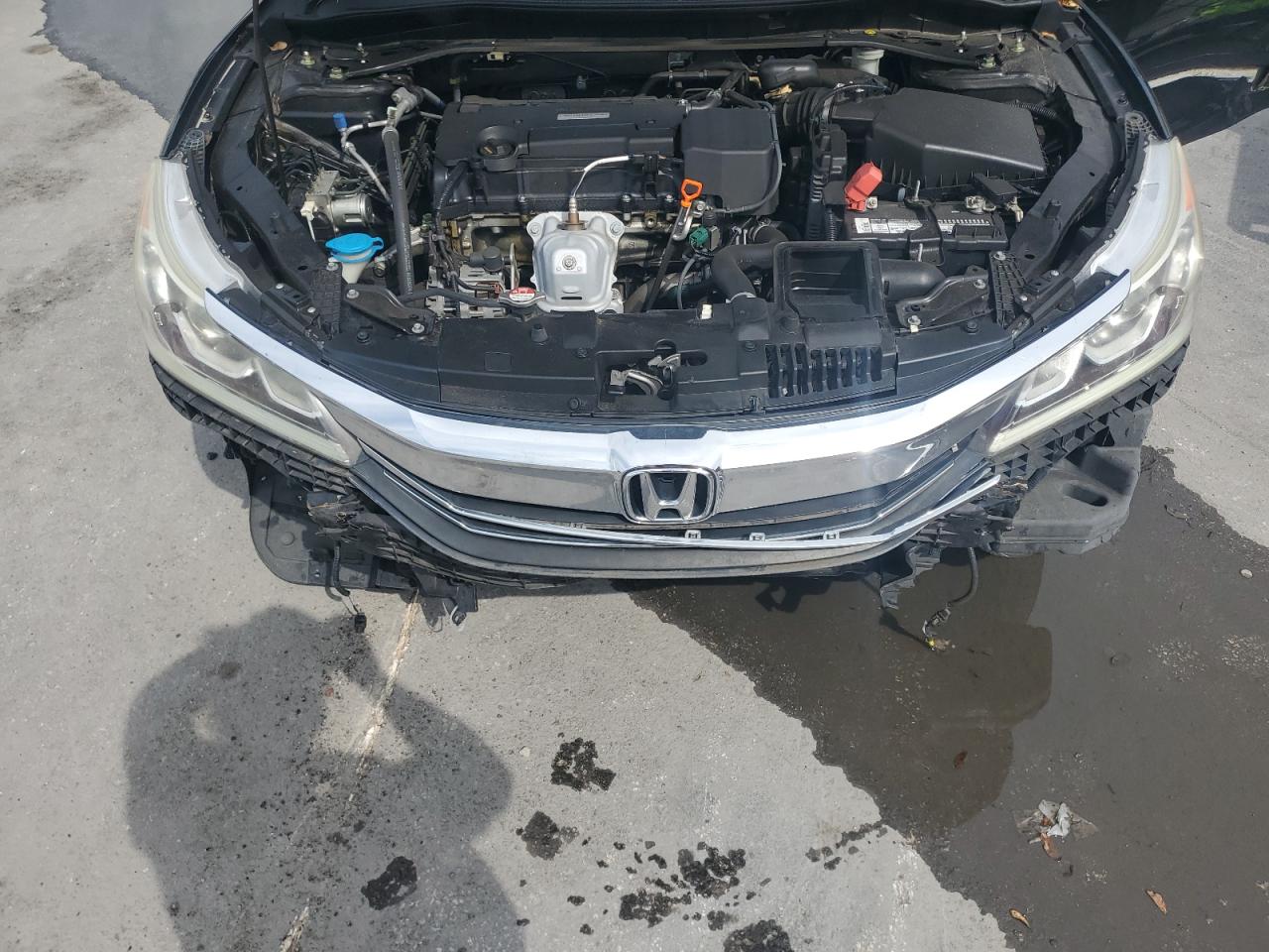 2017 Honda Accord Exl VIN: 1HGCR2F8XHA008951 Lot: 58899995