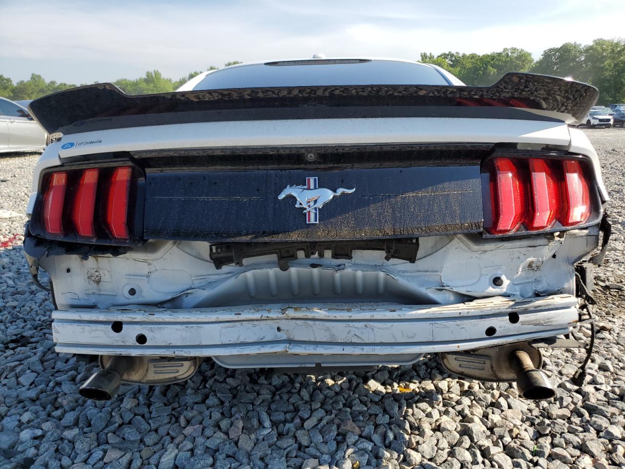 2019 Ford Mustang VIN: 1FA6P8TH9K5191483 Lot: 56334565