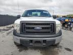 Orlando, FL에서 판매 중인 2013 Ford F150  - Rear End
