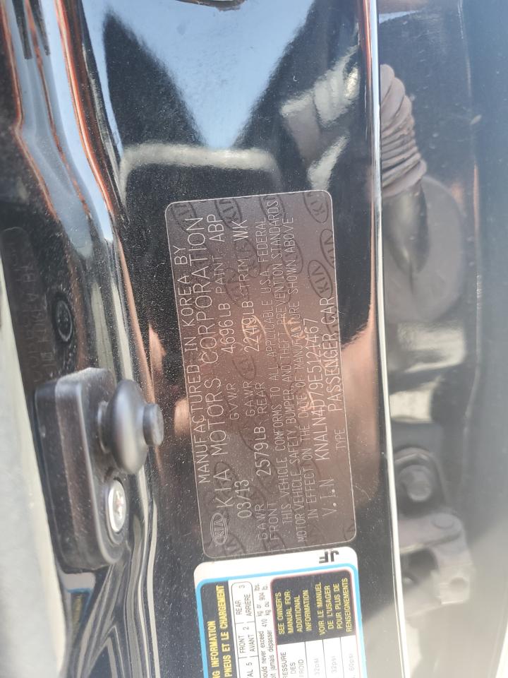 2014 Kia Cadenza Premium VIN: KNALN4D79E5121467 Lot: 56643565