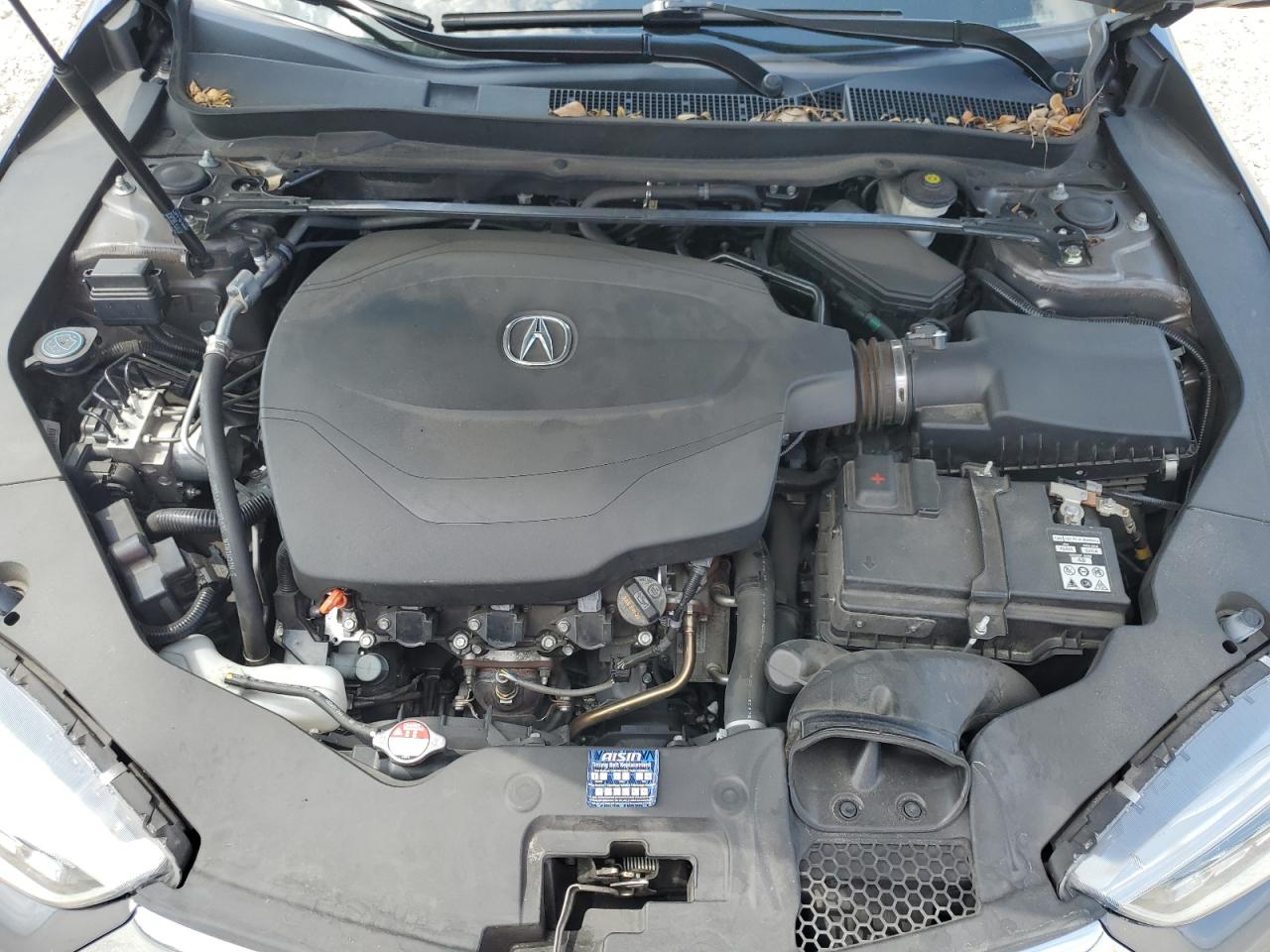 2019 Acura Tlx VIN: 19UUB2F3XKA009702 Lot: 56722655