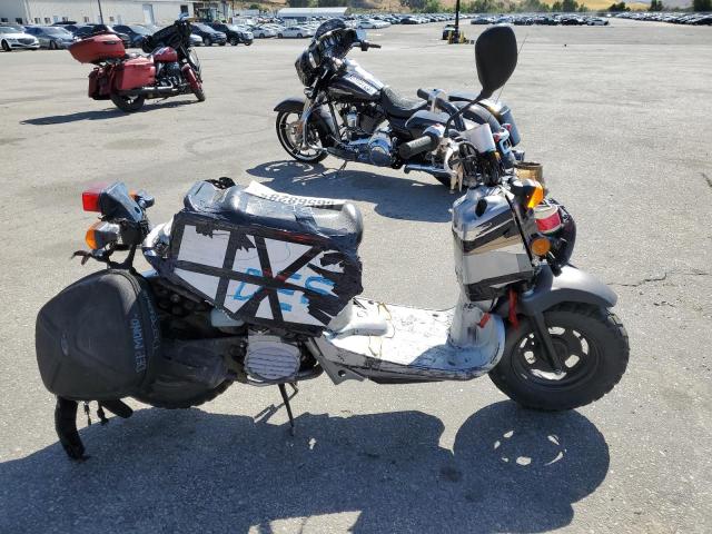 2023 Honda Nps50 