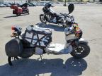 2023 Honda Nps50  en Venta en Colton, CA - Minor Dent/Scratches