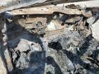 2019 Tesla Model 3    na sprzedaż w Wichita, KS - Burn