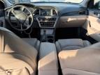 2016 Hyundai Sonata Sport за продажба в Spartanburg, SC - Front End