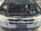 2012 Ford Escape Xlt იყიდება Pennsburg-ში, PA - Rear End
