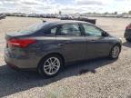 2016 Ford Focus Se იყიდება Earlington-ში, KY - Hail