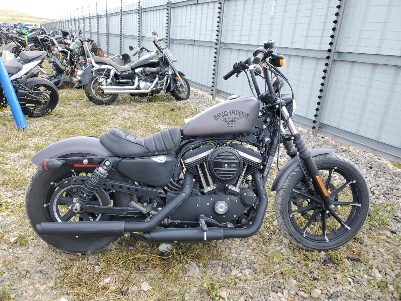 2016 Harley-Davidson Xl883 Iron 883