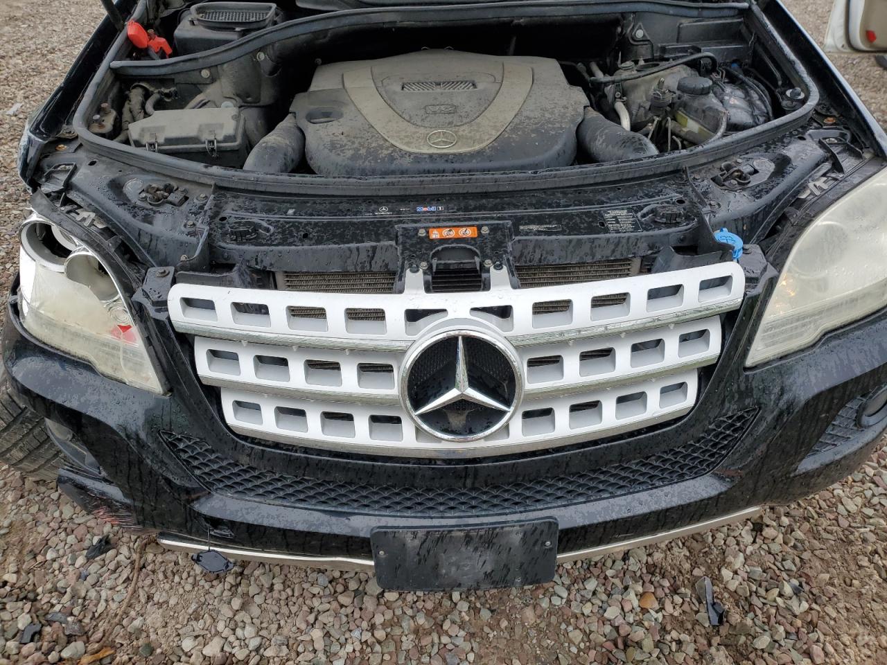 2009 Mercedes-Benz Ml 350 VIN: 4JGBB86E99A523606 Lot: 56253605