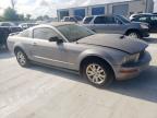 Haslet, TX에서 판매 중인 2007 Ford Mustang  - Normal Wear