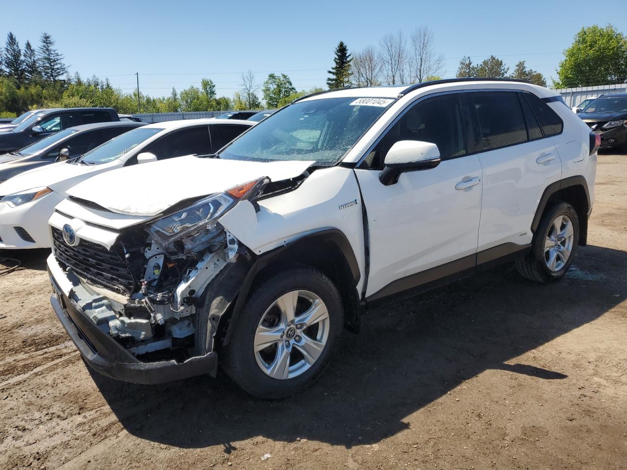 2020 Toyota Rav4 Xle იყიდება Bowmanville-ში, ON - Front End